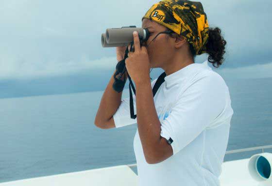 Looking for whale sharks (c) Susannah Cogman